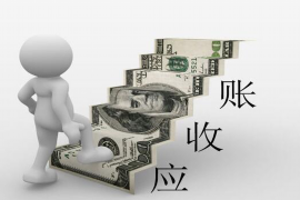 馆陶要账公司